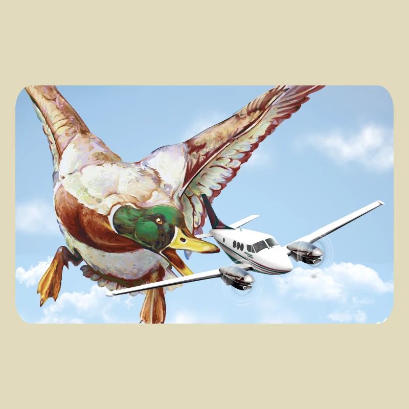 Duck attack (version 1 without speech bubble)