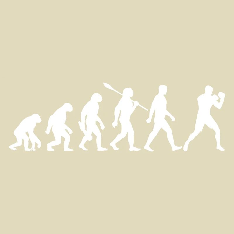 Evolution - Boxen, Kampfsport, Boxtraining