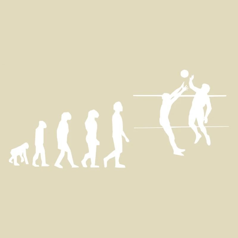 Volley évolution