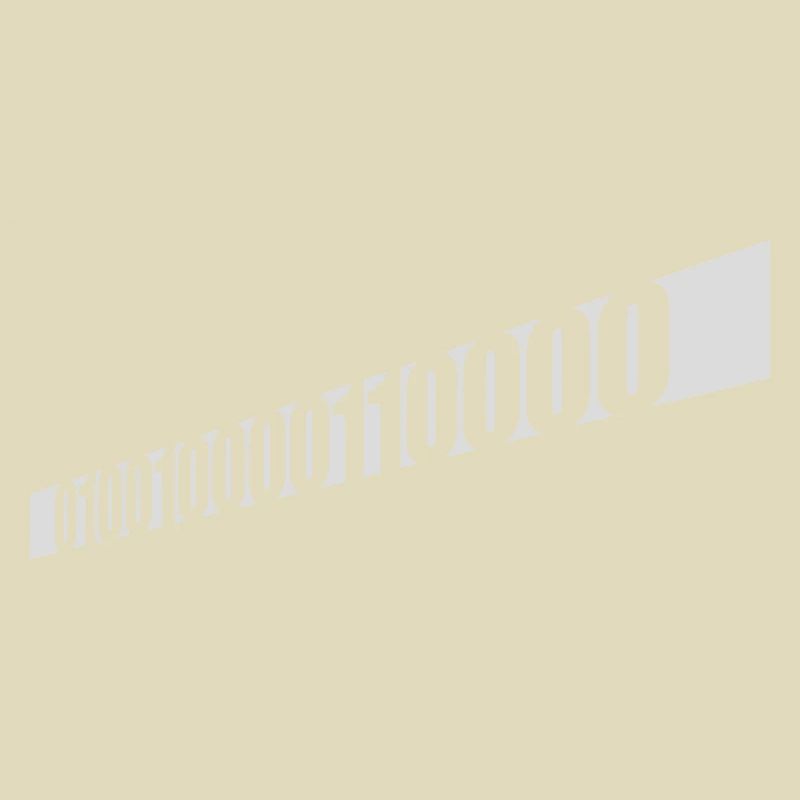 Langage de programme de code binaire