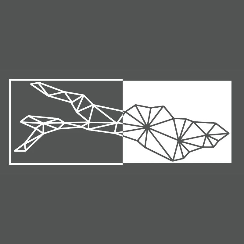 Bodensee | Polygon | Weiss
