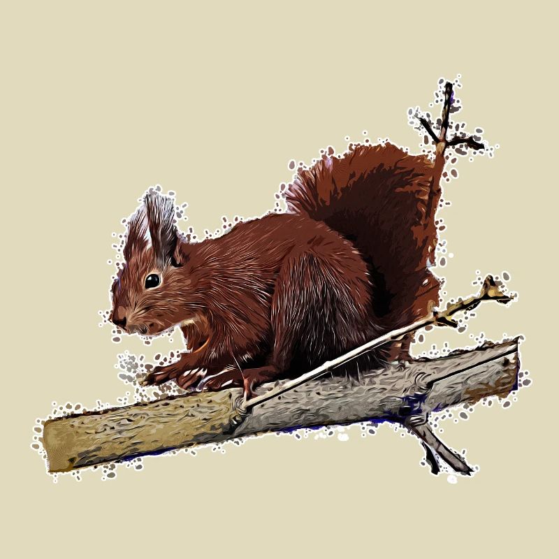 Eichhörnchen