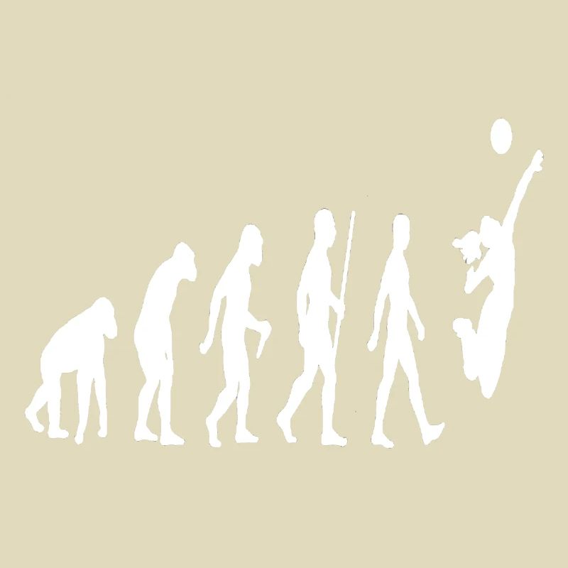 Evolution Volleyball