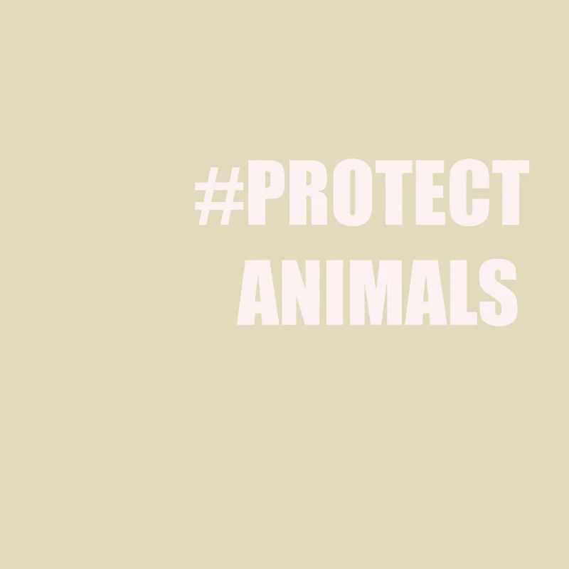 PROTECT ANIMALS 3
