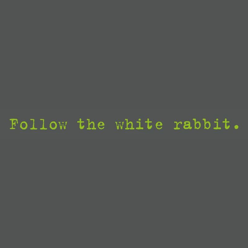 Follow the white rabbit Programming Computer Science