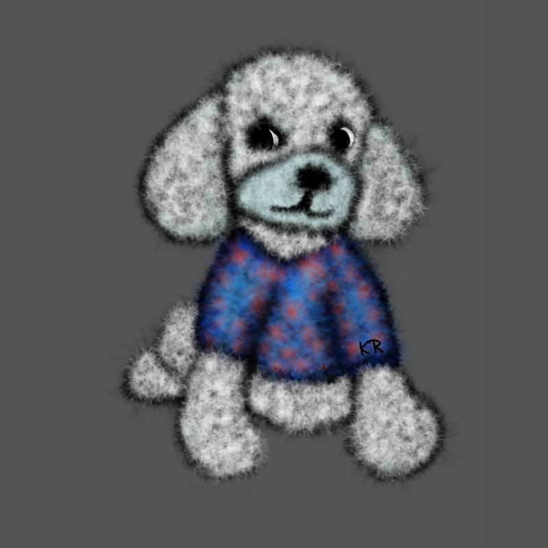 Pudelhund mit Pullover