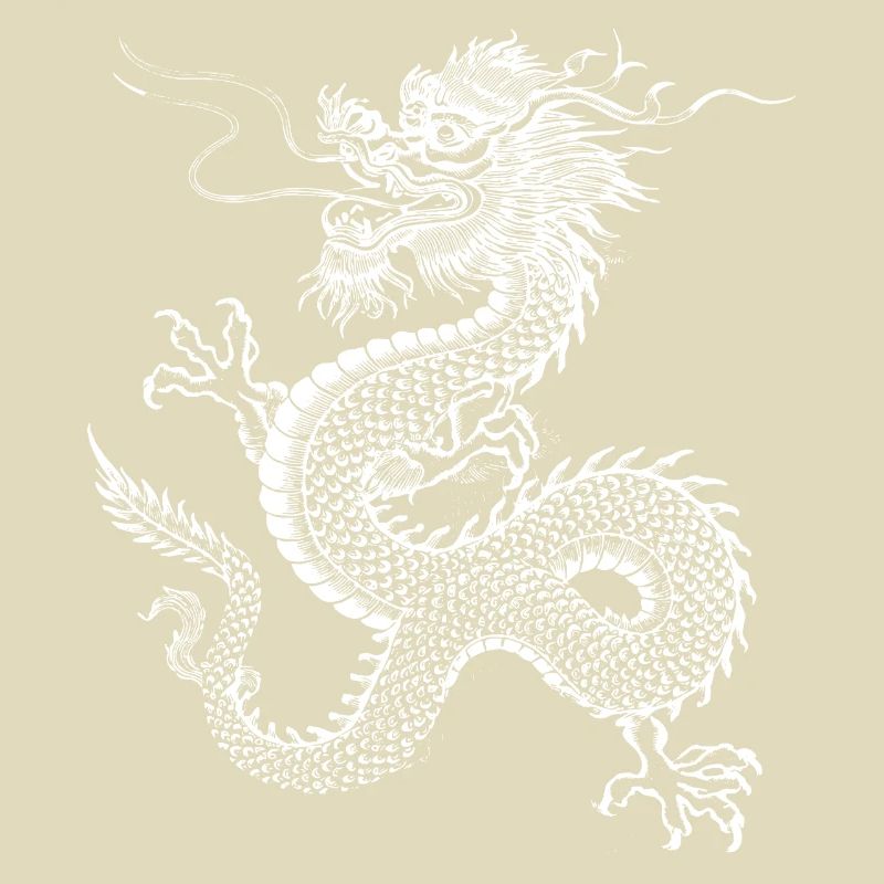 Chinesisches Drachendesign