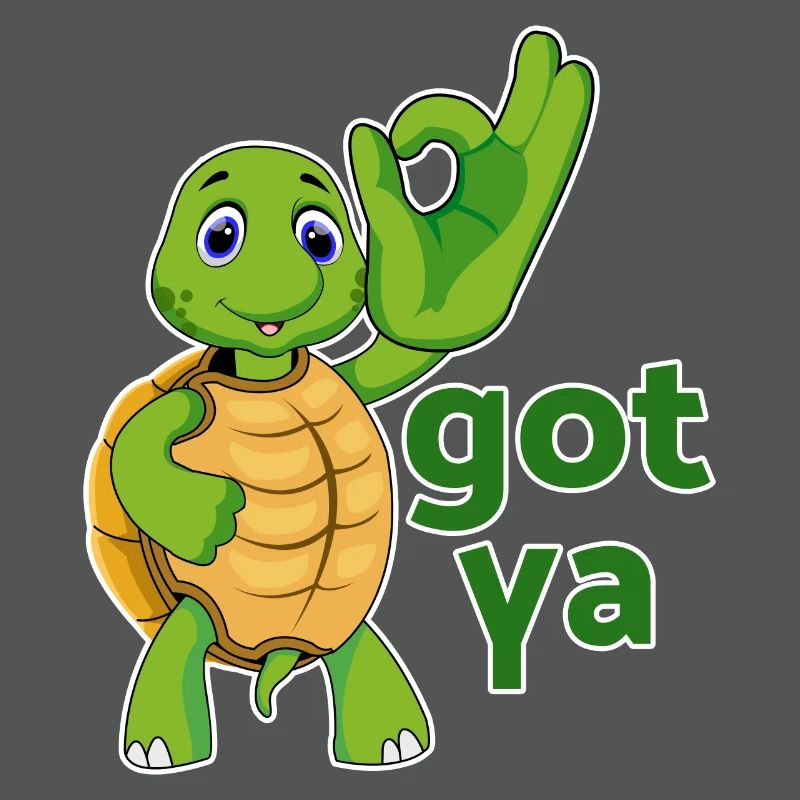turtle turtle testudines toad