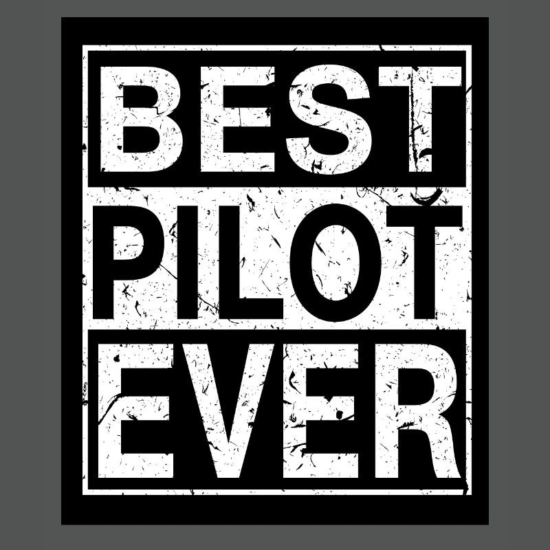 Pilot Bester Pilot