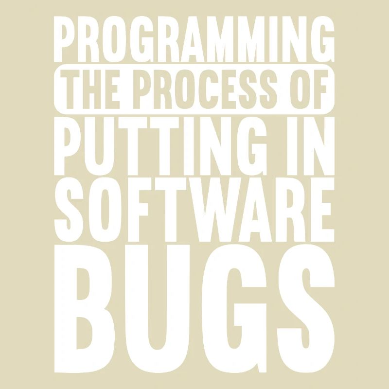 Programmierer Informatiker