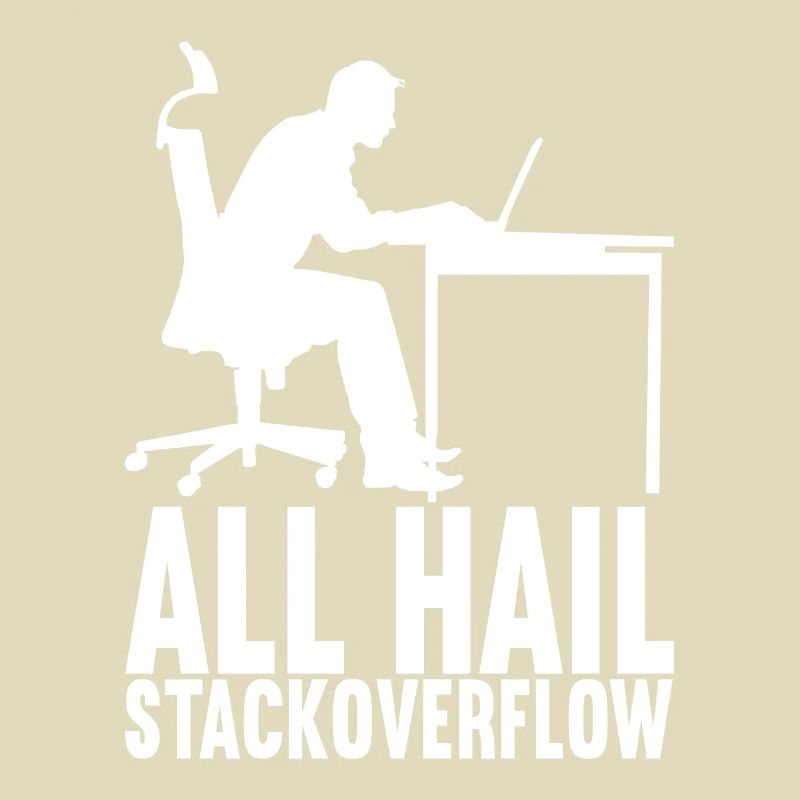 Programmierer Informatiker