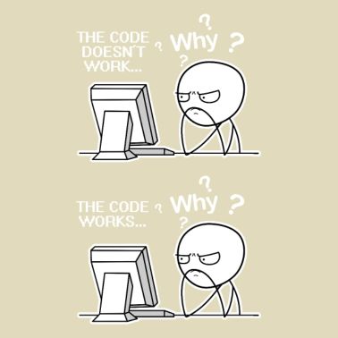 Codice programmatore divertente funziona perché meme