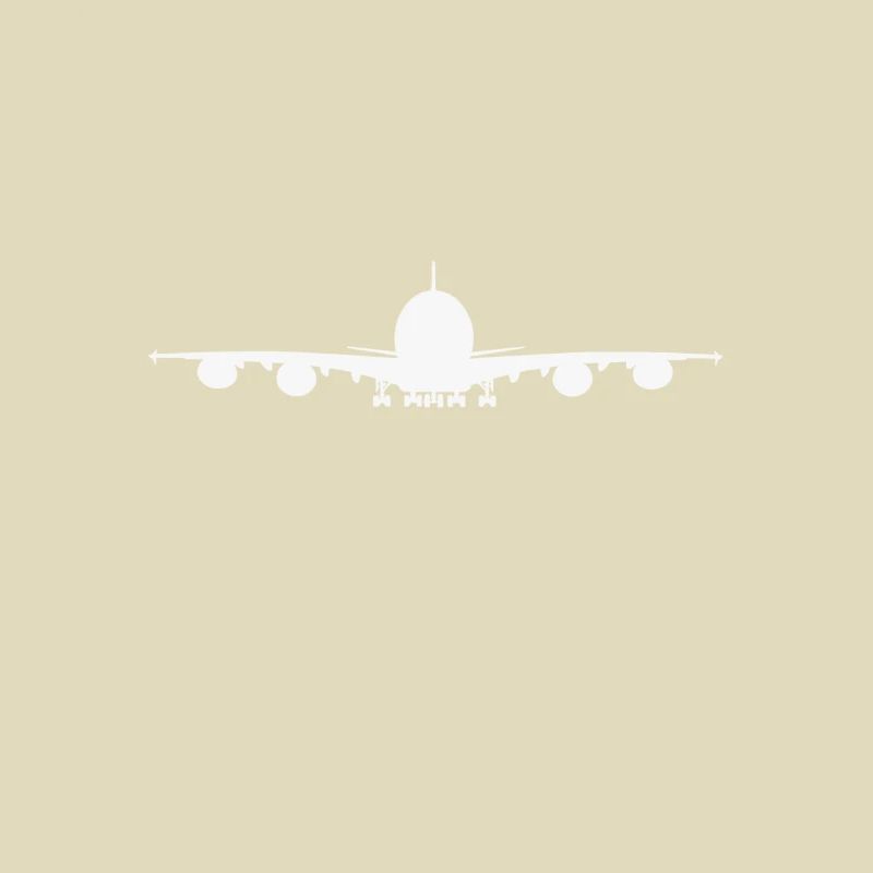 Flugzeug Tshirt