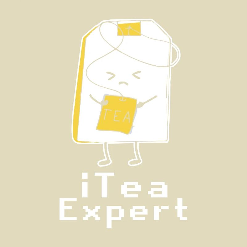 Itea Expert Admin Programmeur de logiciels informatiques