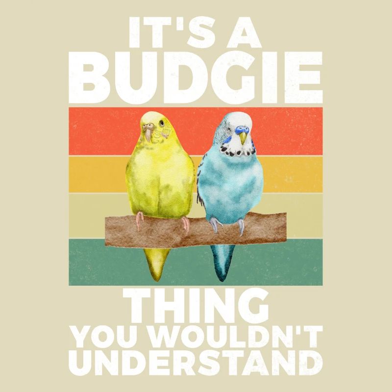 Budgie Gift