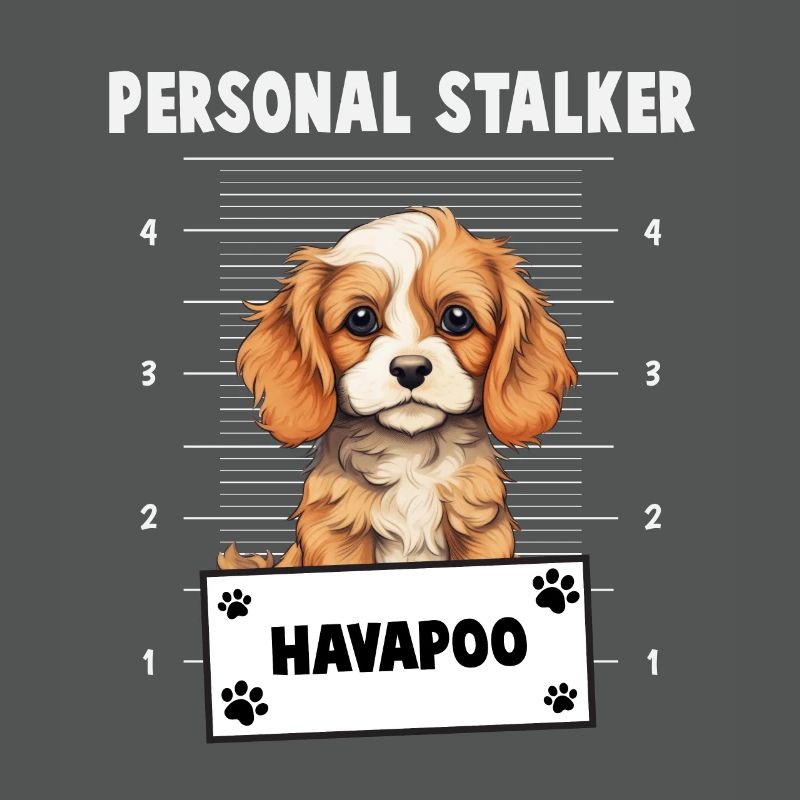 Personal Stalker Havapoo