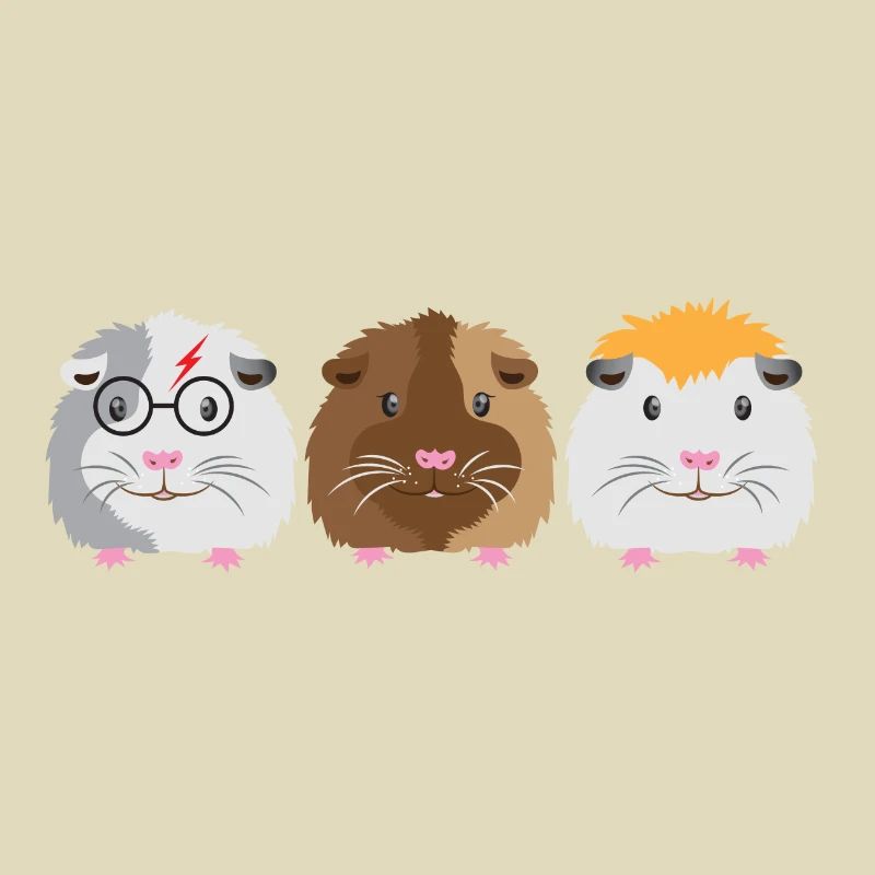 Trois petits cochons d'Inde