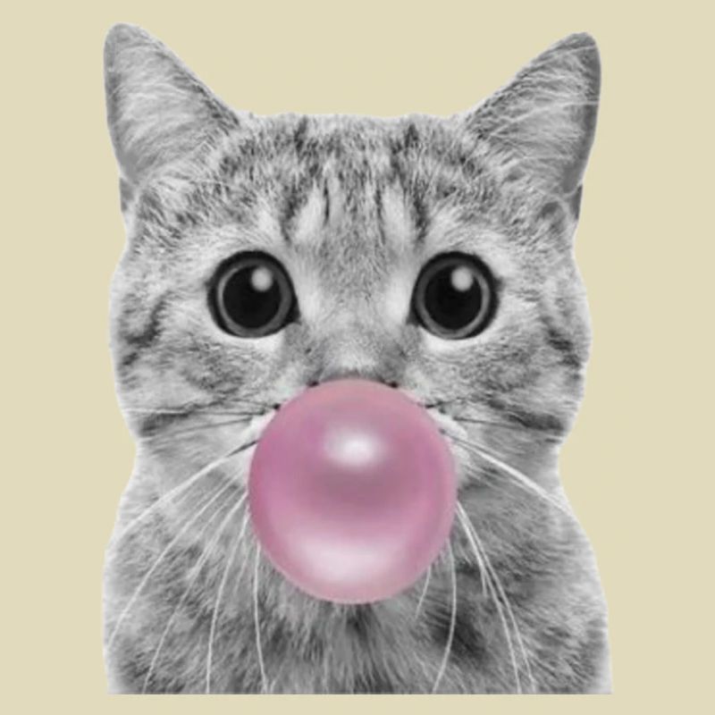 Bubble Katze