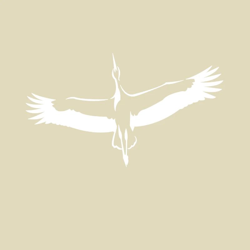 Storch
