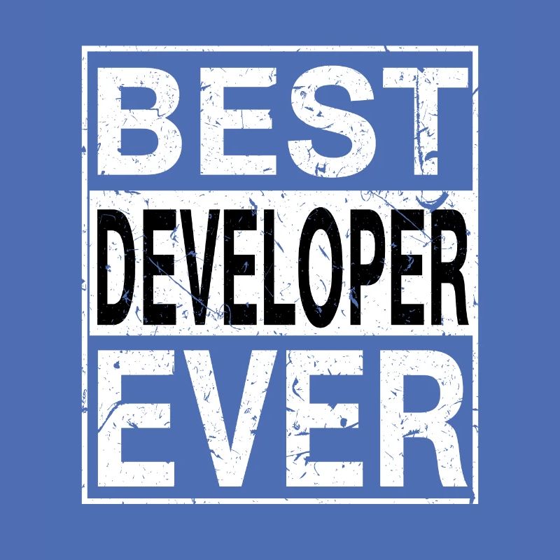 Best Developer Ever Developer Gift