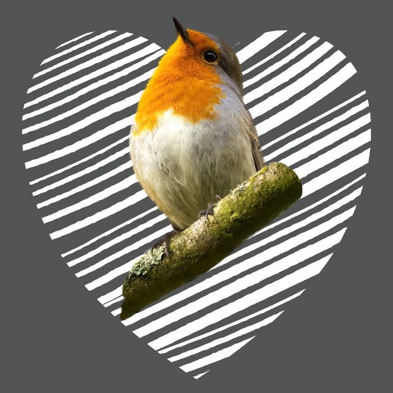 Rotkehlchen Singvogel