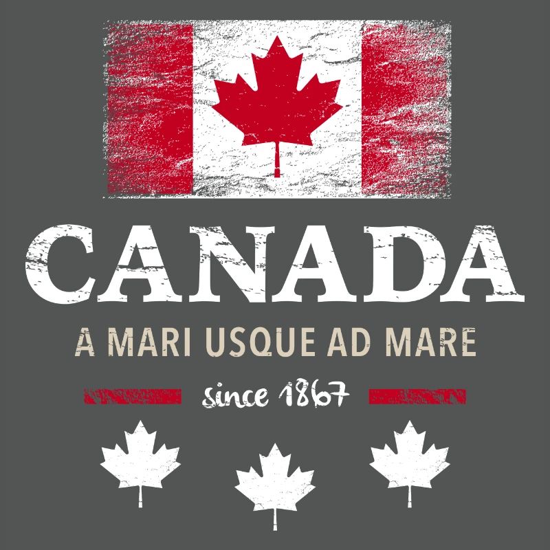 Canada Canada America maple leaf flag flag