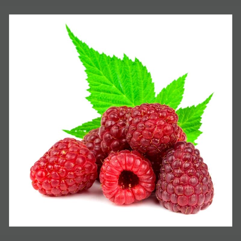 Himbeere. raspberry