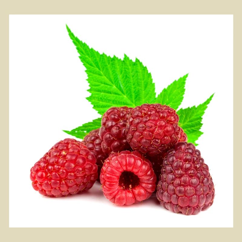Raspberry. Raspberry