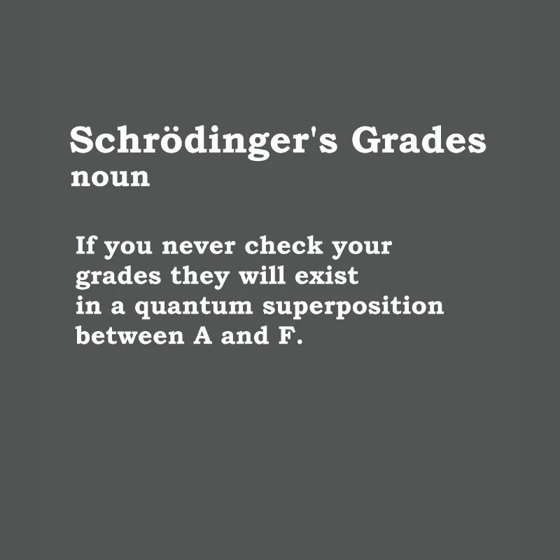 Schrödinger's grades physics nerd science gift
