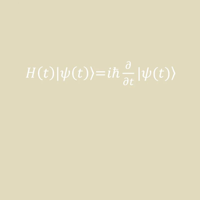 Schrödinger Equation Physicist Gift Physics