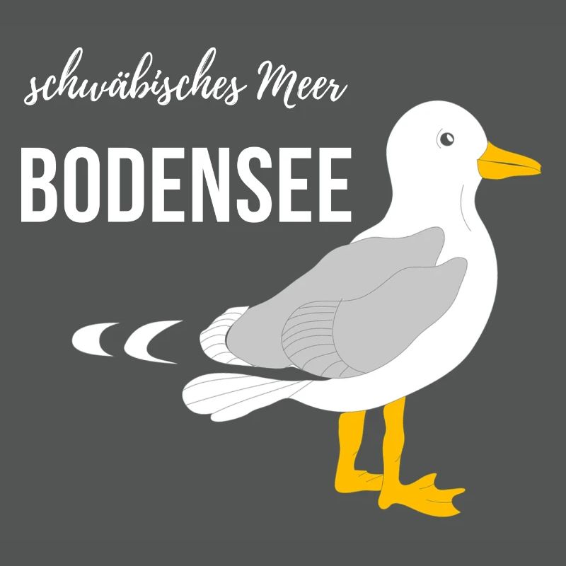 Bodensee Möwe