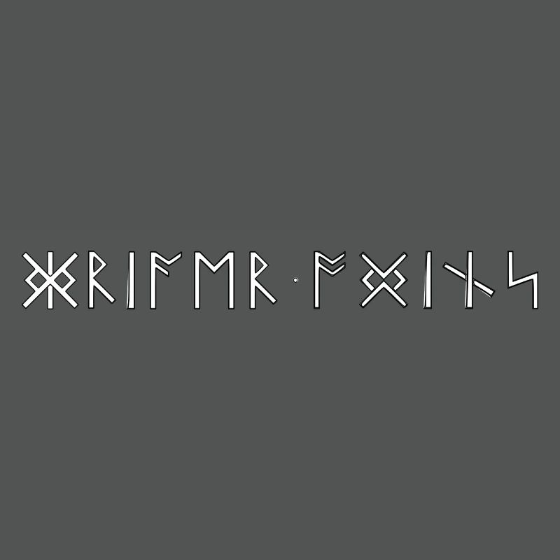 Warrior Odin's Runic Script Germanic Vikings