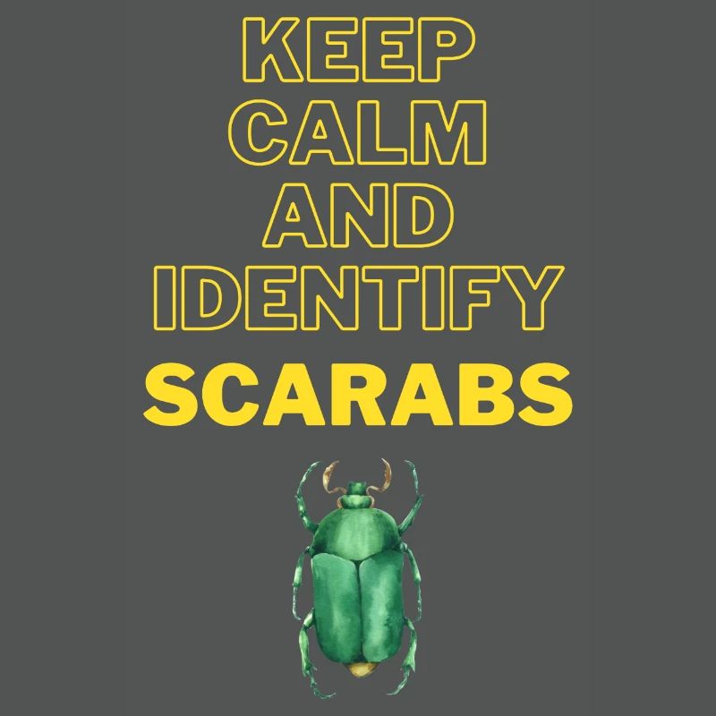 Keep calm and identify beetles