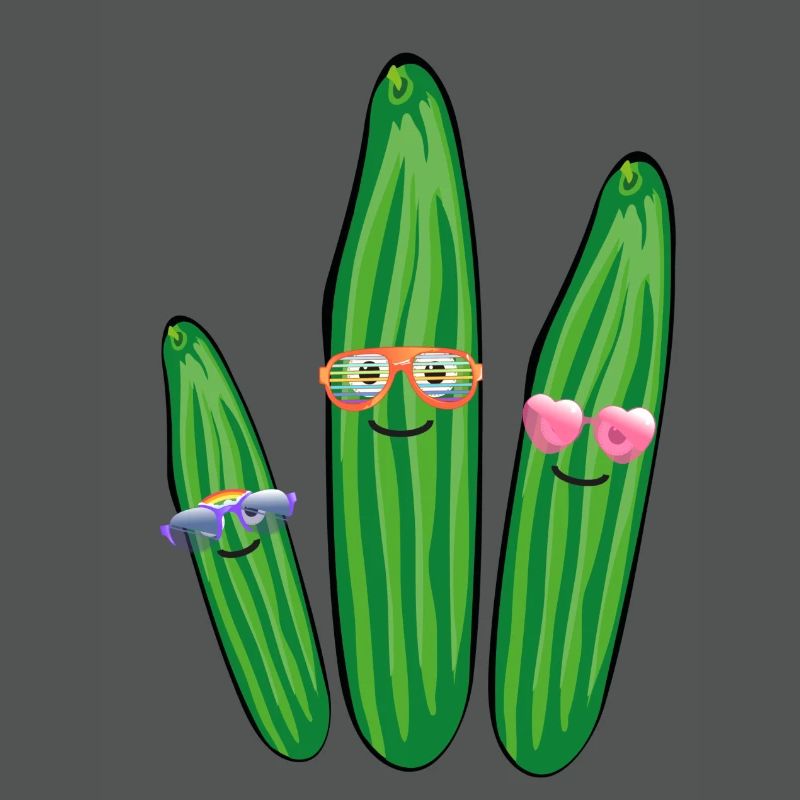 Trio de concombre,Concombre,Concombre,Concombre,Lunettes de soleil