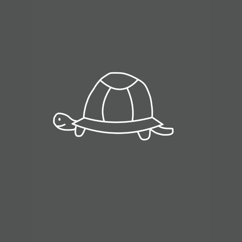 Turtle toad