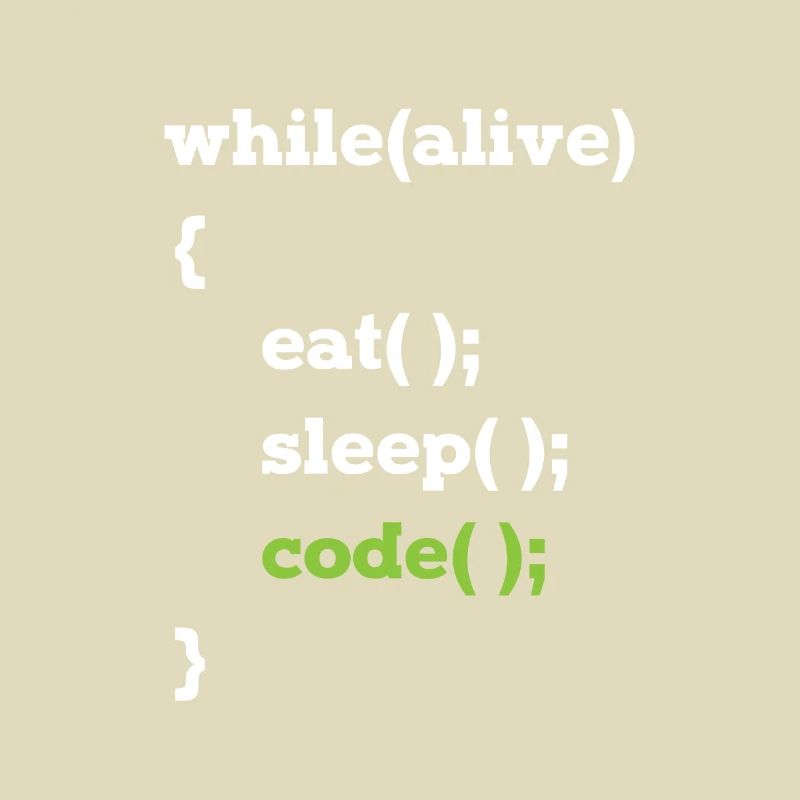 Programmeur Java en boucle informaticien