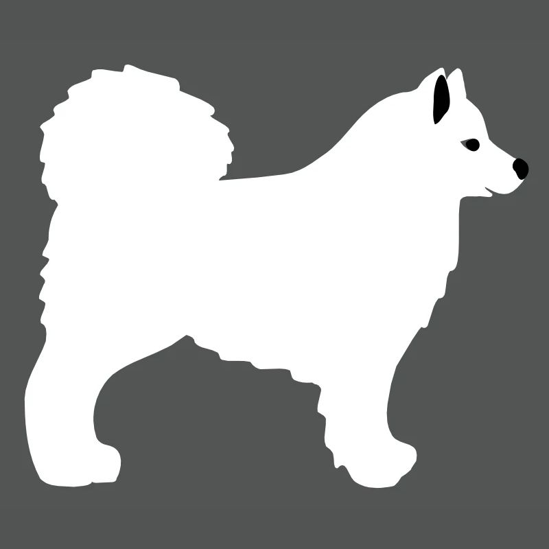 Samojede