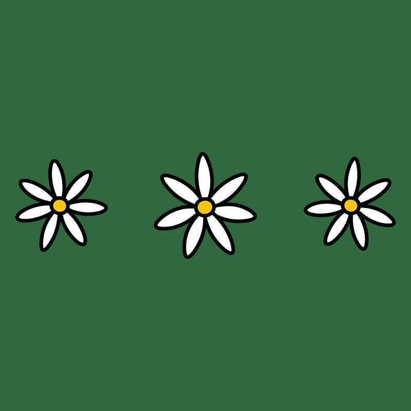 Three daisies