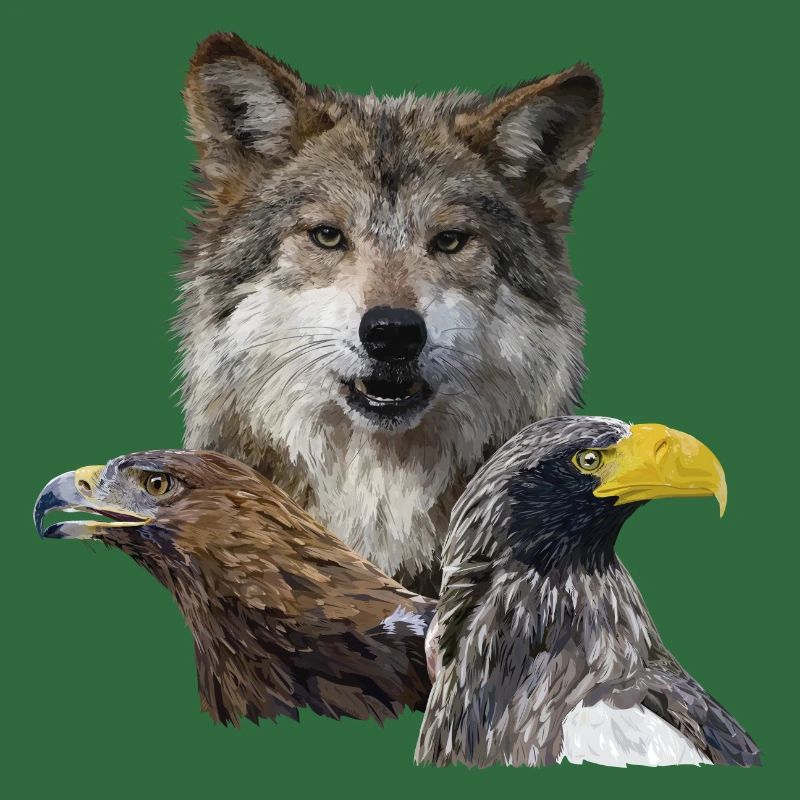 Wolf and Eagles