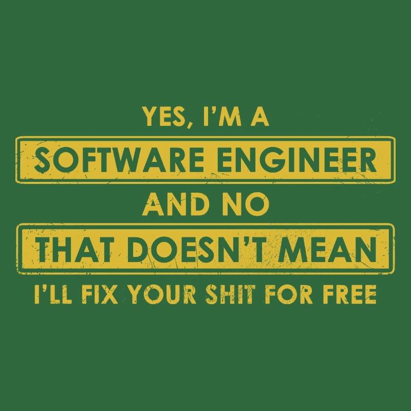 Software-Ingenieur