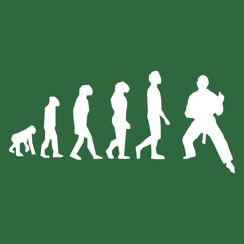 Art martiaux évolution