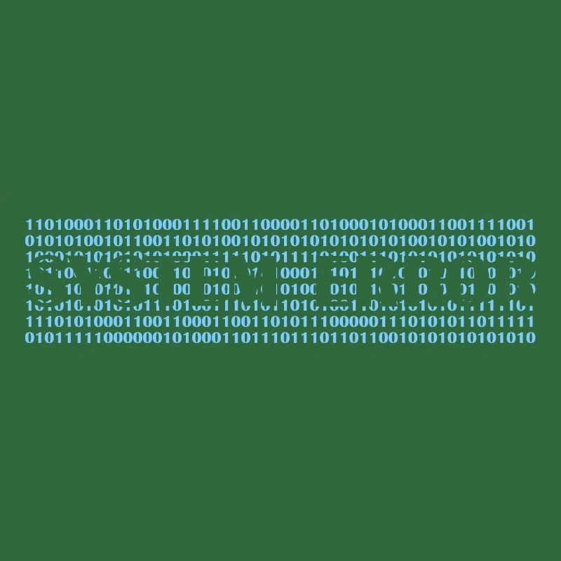 System error