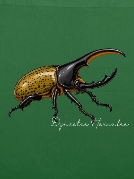 Herkuleskäfer Dynastes hercules