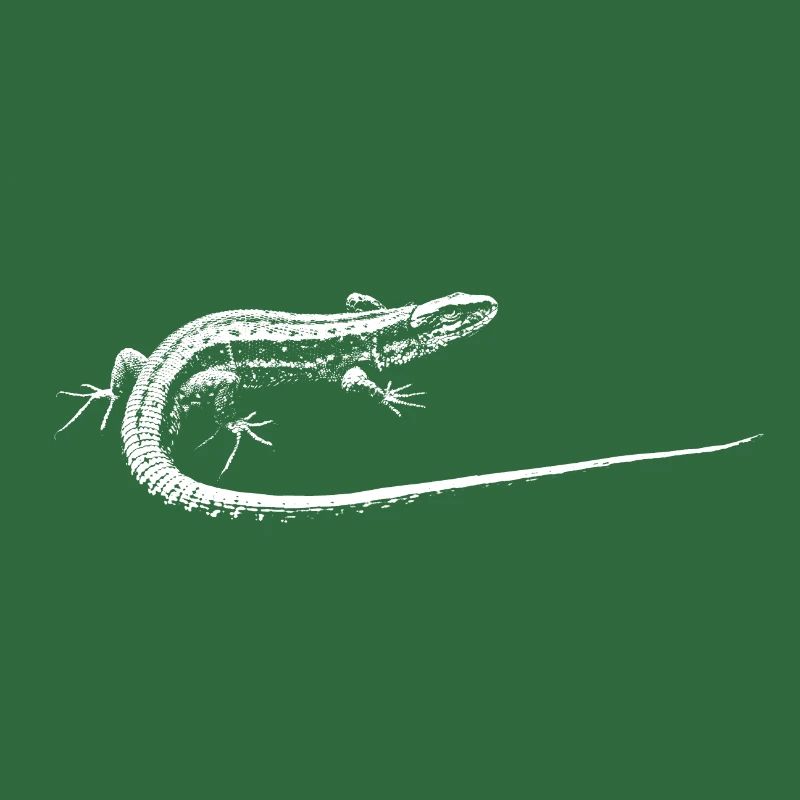 Eidechse / Lizard
