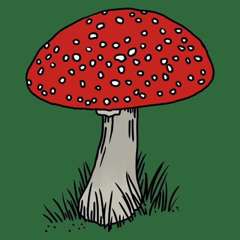 Toadstool coloré