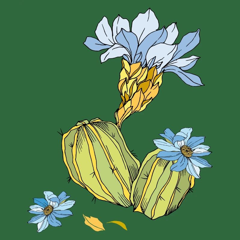 Cactus à fleurs