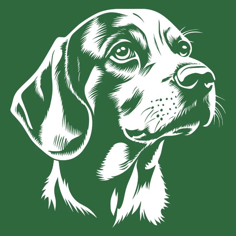 Beagle - Hunde Fan