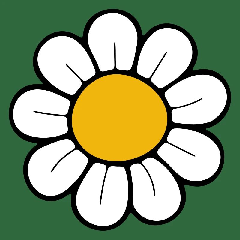 Gänseblümchen