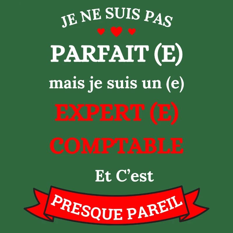 EXPERT(E)-COMPTABLE PARFAIT(E)