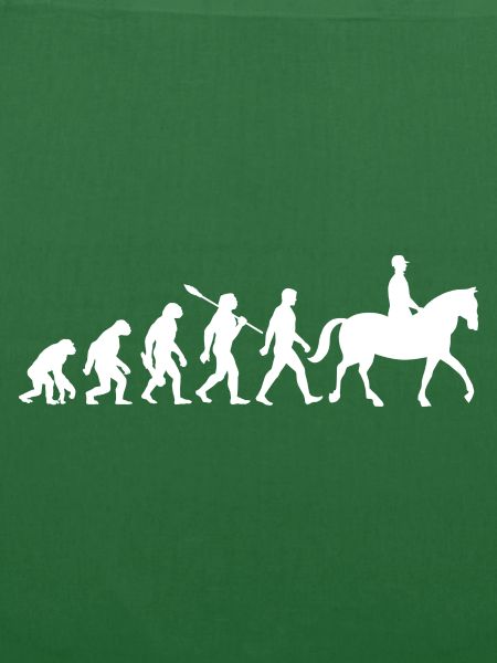 Evolution Reiten - Pferde - Dressur